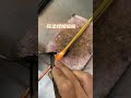 Backflip Success! Three Loach Backs in a Row