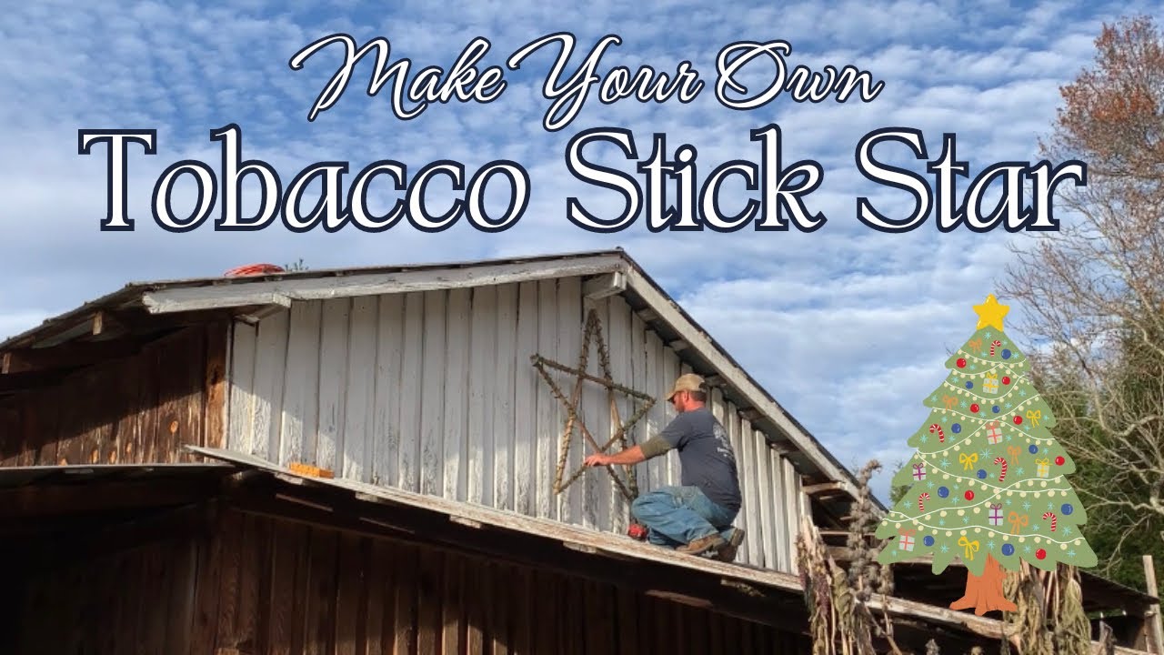 effects of tobacco smoking Tobacco effects on the body hi-res stock photography and images