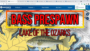 PRESPAWN BASS PATTERNS | Lake of the Ozarks