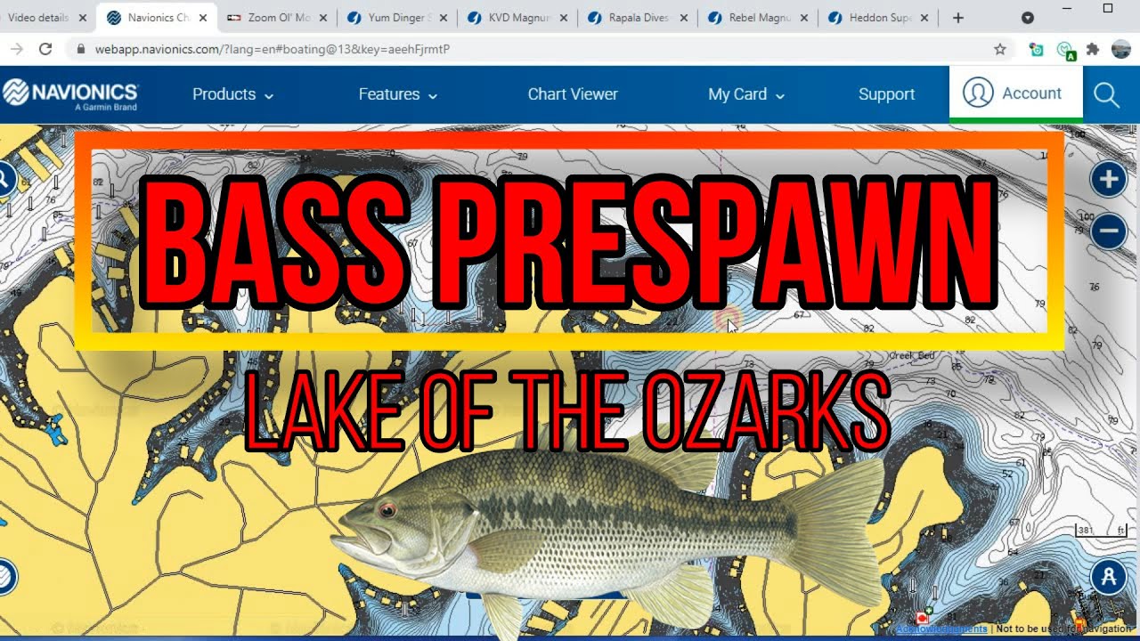 PRESPAWN BASS PATTERNS | Lake of the Ozarks