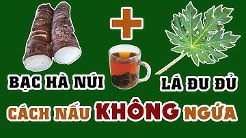 Cách Nấu Bạc Hà Núi (Củ Ráy) Và Lá Đu Đủ Không Bị Ngứa 0976 836 586