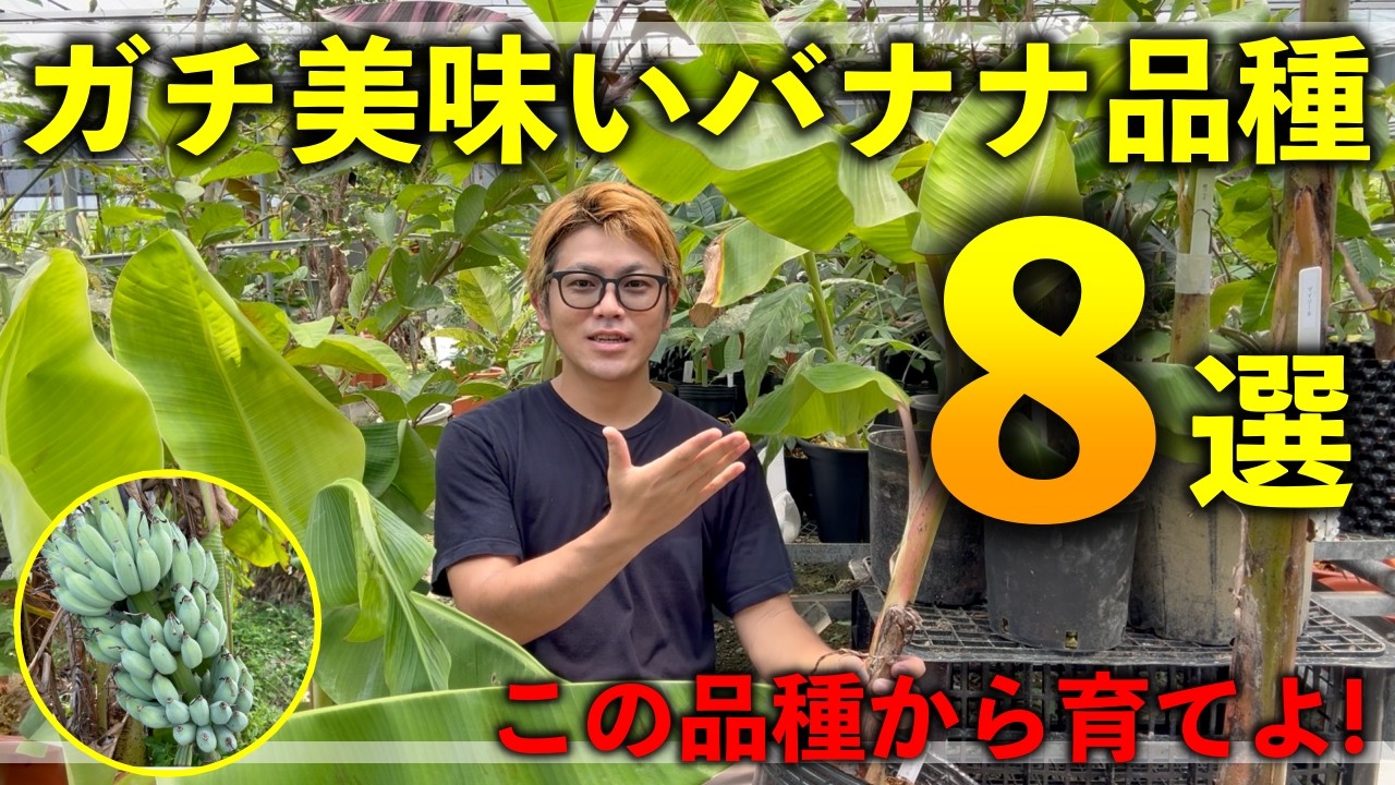 Top 8 Recommended Bananas!!!! - YouTube