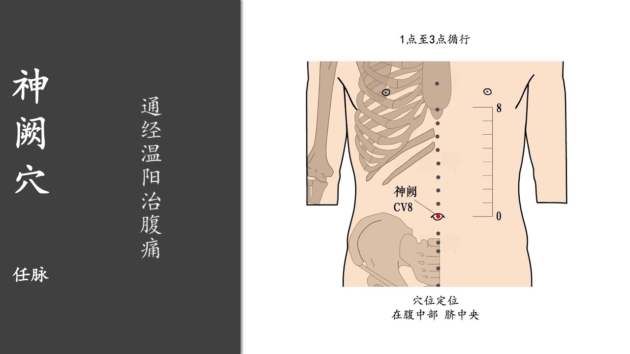 人体穴位312:神阙:通经温阳治腹痛,用手指指尖点按神阙穴2~3分钟,长期按摩,可改善四肢冰冷、脱肛 20220404 - YouTube