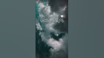 قال ربِّ إنّي دعوت قومي ليلًا ونهارًا - تلاوة خاشعة هادئة القارئ ماهر المعيقلي  - #ماهر_المعيقلي