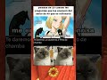 Gracias si te suscribes #humor #funny #memes #viralshort #anime #shorts #foryou #comedia #