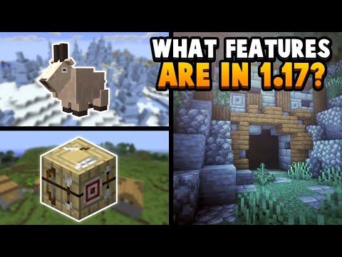 ALL 136 Features in Minecraft 1 17 (Caves And Cliffs) 