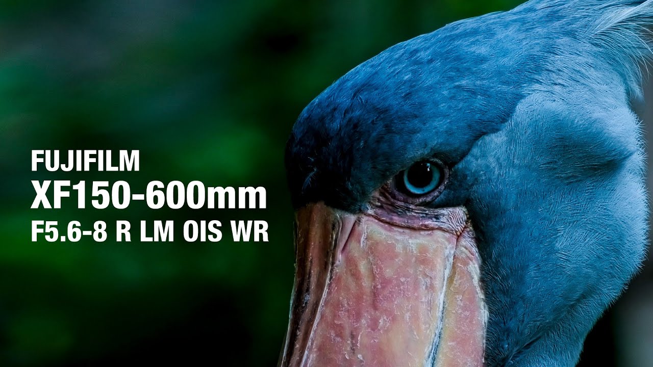 フジフイルムの超望遠レンズXF150-600mmで動画撮影に挑戦してみた