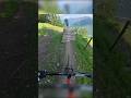 Hinter Philipp Gatterer nach unten - Video 2 online! 🤝 #mtb #biking #downhill #pov #freeride #chur
