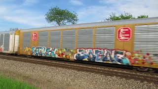 CN 2516, 2929 moving Eastbound auto rack and intermodal container train at Vicksburg, MI.