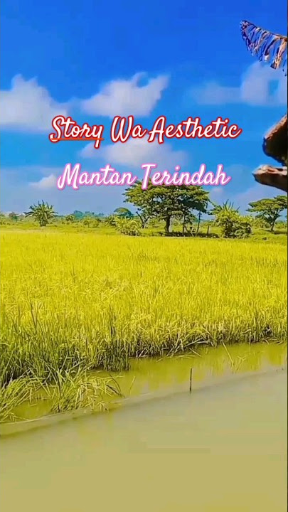 Story wa aesthetic - Mantan Terindah