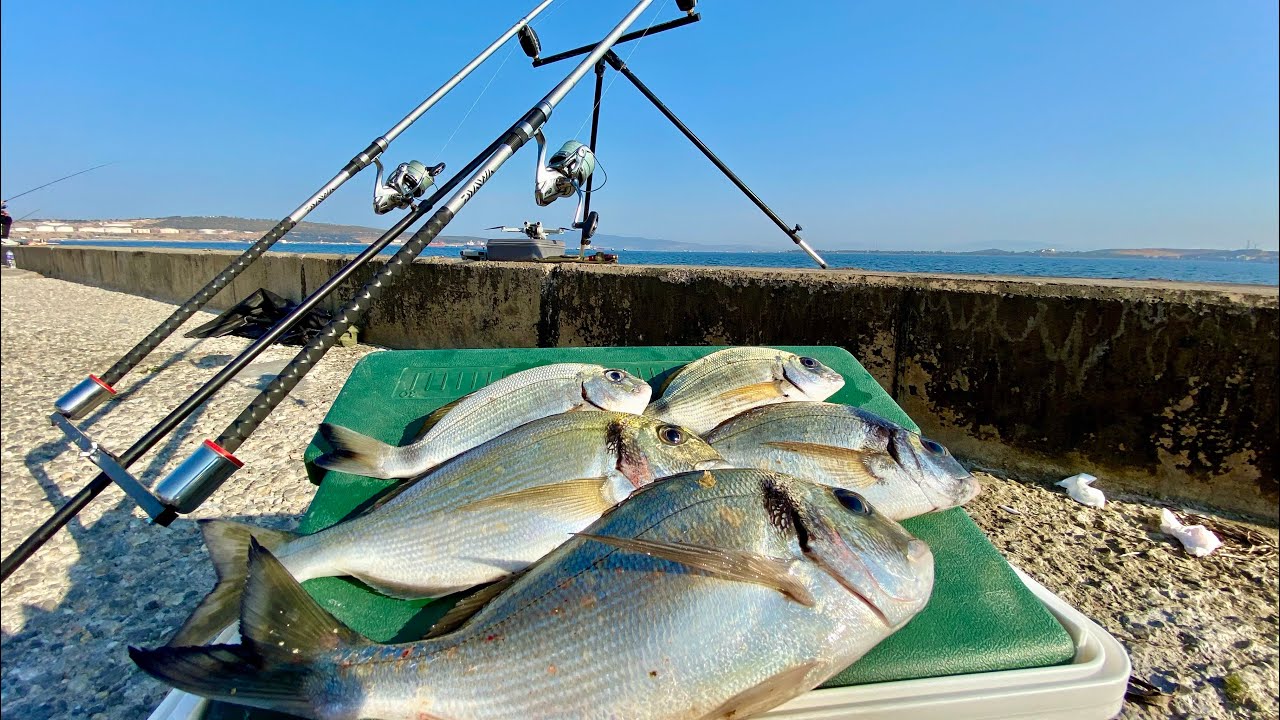 BURDA YASAK YOK! ÇUPRA VAR!! #balıkavı #fishing #balıkçılık