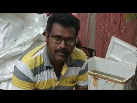 Review on repair Reel  Raju bhai from Chennai