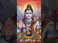 OM NAMAH SHIVAYA 🙏🏻🙏🏻🙏🏻🦚 #subscribe #love