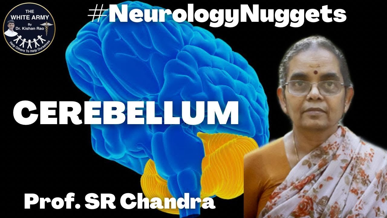 Cerebellum - Prof. S R Chandra | NeurologyNuggets