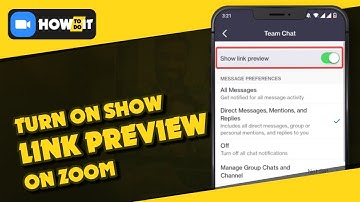 How to turn on show link preview on zoom 2024 | Skill Wave