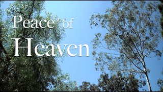Video thumbnail of "Peace of Heaven  ( Live Piano Violin Worship Prayer Prophetic Soaking Music )"