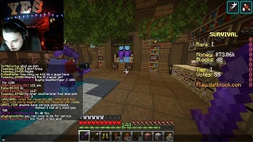 Datblock Survival | Minecraft server ( AKA Stonks Simulator)