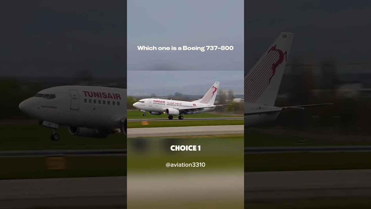 Which One Is a Boeing 737-800? 🤔 
