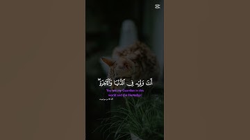 القرآن الكريم سورة يوسف #القران ##يارب #احمد_العجمي #راحة_نفسية