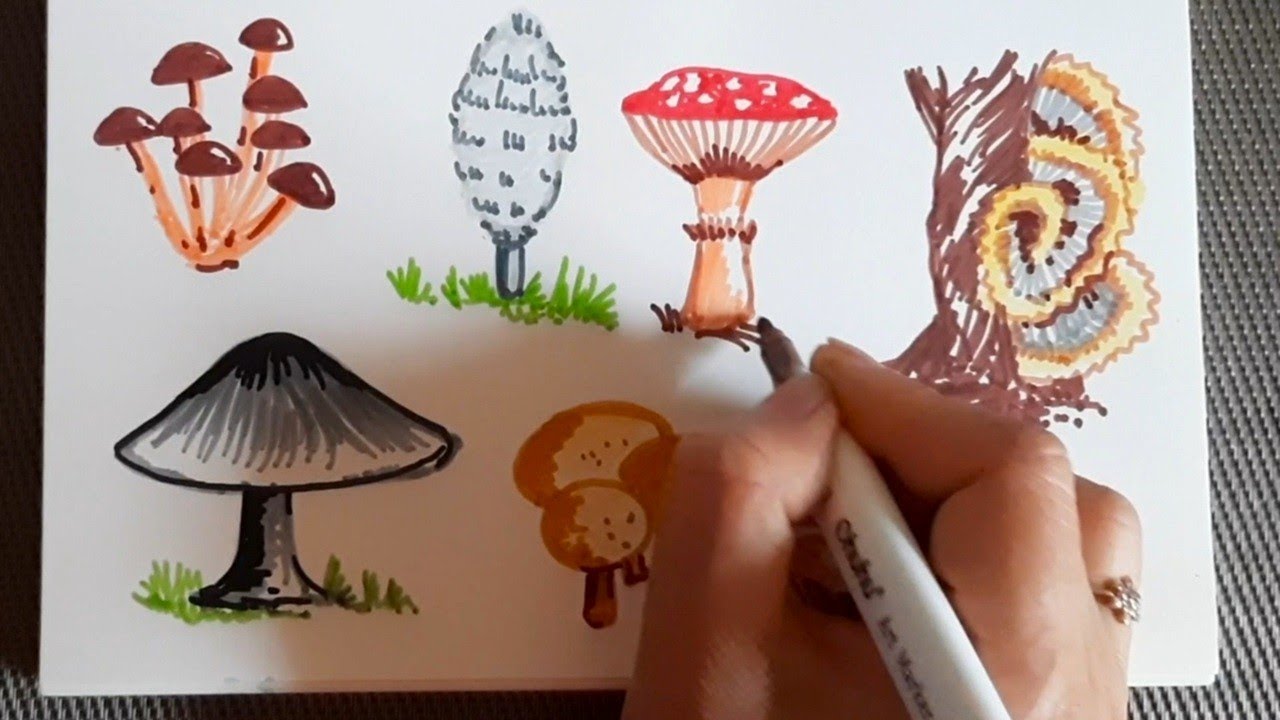 Mushroom art | Types of mushrooms drawing | Wild mushrooms doodle art with markers