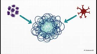 Famous AI-based prediction of intrinsically disordered protein regions Wealth
