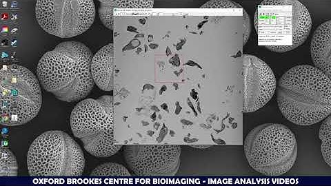 Trimming in 3dmod V2