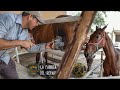 CABALLOS Y NITRÓGENO LIQUIDO!!! ASÍ ES COMO SE MARCAN LOS EJEMPLARES #ÉQUIDOS DEL #RANCHO EL #AGUAJE