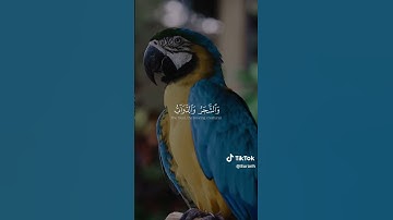 الم ترى ان الله يسجد له # ياسر الدوسري #سورة الحج #قران
