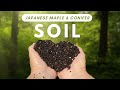 Make your own japanese maple and conifer soil mix in minutes