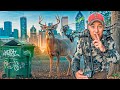 Hunting a GIANT Buck in the Middle of the City!