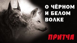 О черном и белом волке Мудрая Притча о добре и зле в душе человека