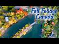 St. Andrews, New Brunswick: The Most Beautiful Fall Town in Canada? (2026)