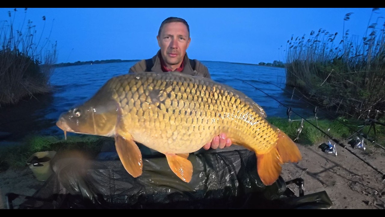 EZ MINDENT FELÜLMÚLT -Bojlis horgászat 20+rekorddal –Horse Baits Hungary –Tisza-tó –Abádszalóki-öböl