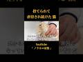捨てられて虐待され続けた猫【後編】【野良猫保護】