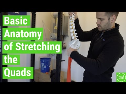 Basic Anatomy of Stretching the Quads | Ep 104 | Movement Fix Monday | Dr. Ryan DeBell