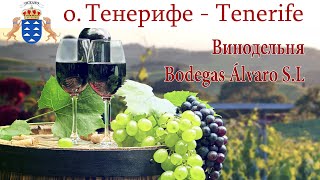 Тенерифе, день 11-й: Винодельня Bodegas Álvaro S.L  |  Tenerife, España - Spain
