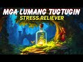 Mga Lumang Kanta Stress Reliever OPM  Tagalog Love Songs 80