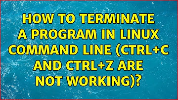 How to terminate a program in linux command line (ctrl+c and ctrl+z are not working)?