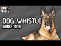 Anti Dog Sound Anti Dog Sound