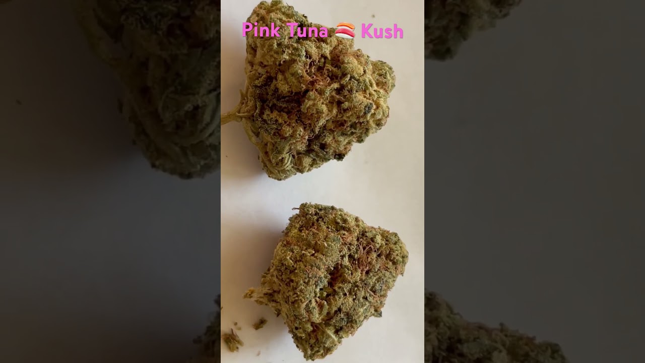 Pink Tuna Kush 