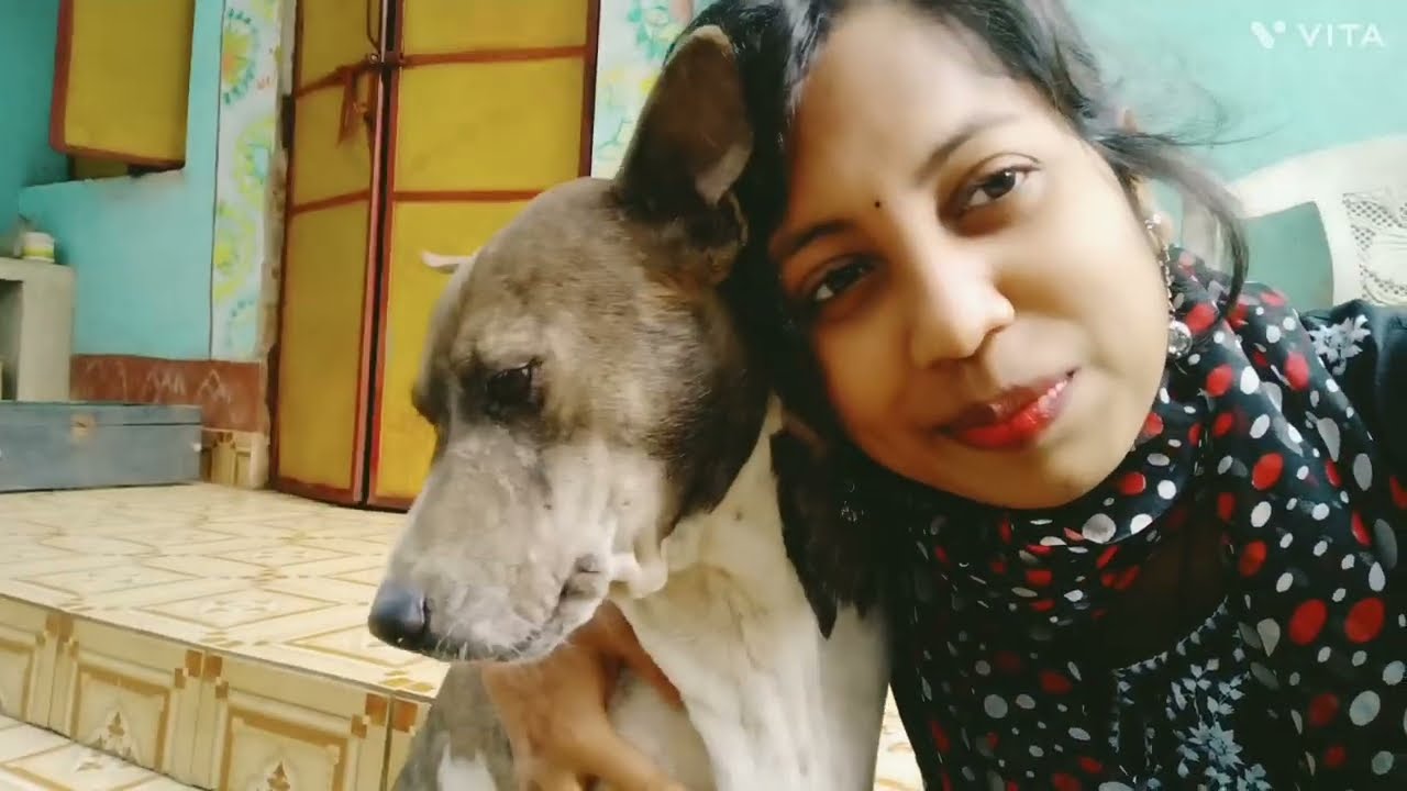 ଆସ ବୁଲି ଯିବା