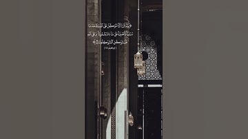 تلاوة طيّبة للقارئ علي الطويان من سورة إبراهيم - حالات واتس .