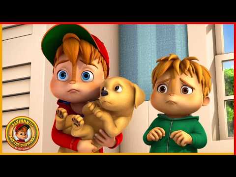 Días De Perro | ALVINNN!!! Y LAS ARDILLAS | 20' Compilación 🚨 Temporada 2 🚨