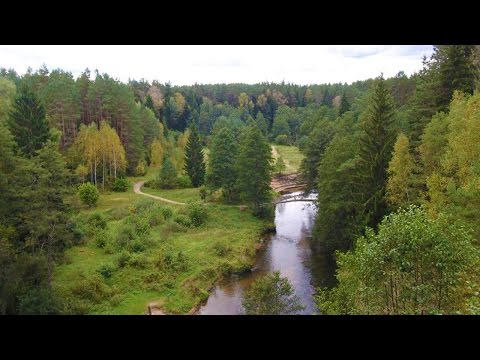 Video: Upė Kaip Buveinė