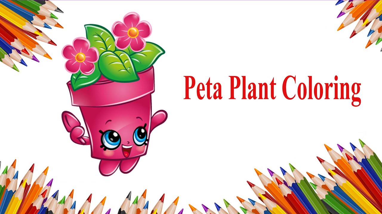 Shopkins Peta Plant - Learn color with Shopkins Peta Plant