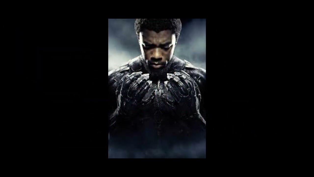 we miss you black panther rest in peace :c