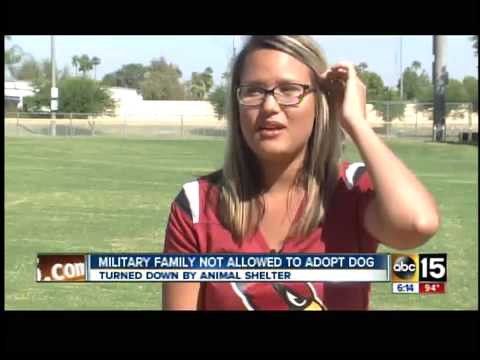was-dog-adoption-denied-due-to-military-service?
