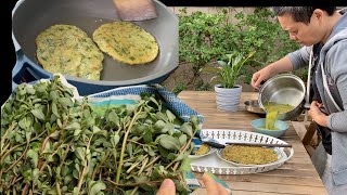 一起做早餐 地里摘的野菜 土豆 南瓜 瞬间变美味 朝鲜蓟又派上用场啦【Garden Time 田园生活分享】2021 7