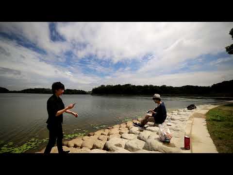 Hai mondaisaku! cover