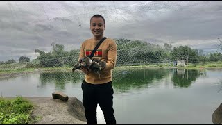 Download Lagu Bẫy trích ré bằng tiếng hủy diệt? Chim đâm mạnh quá anh em MP3 Download Lagu Bẫy trích ré bằng tiếng hủy diệt? Chim đâm mạnh quá anh em MP3